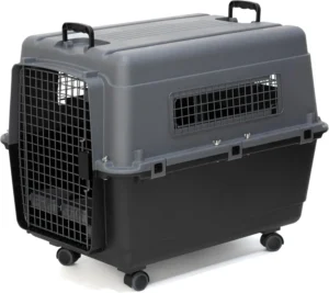 collapsible dog crate