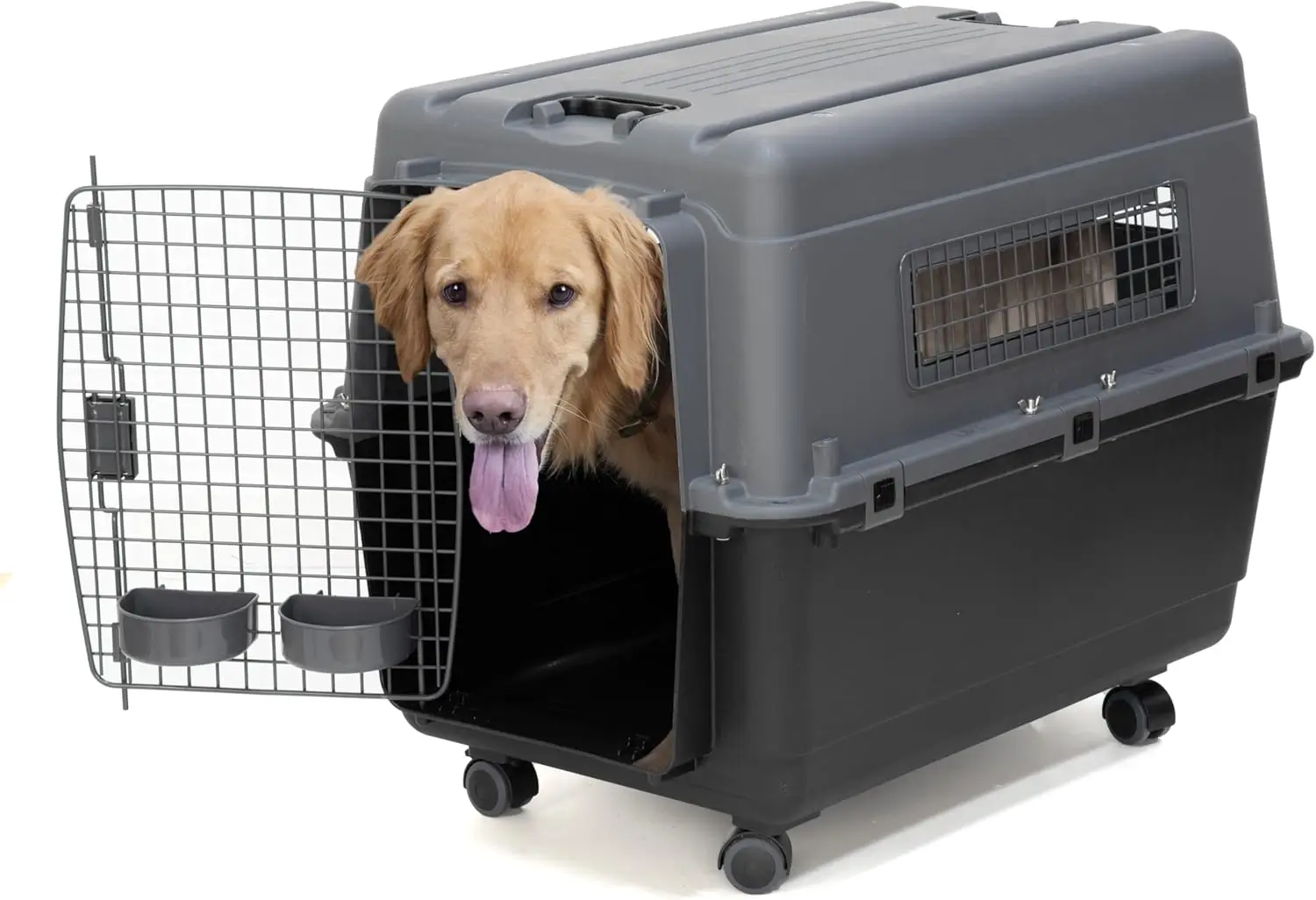 travel dog crate