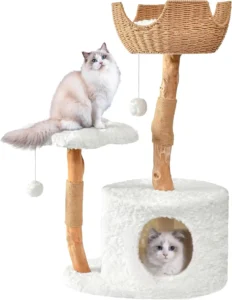 cat tree for large