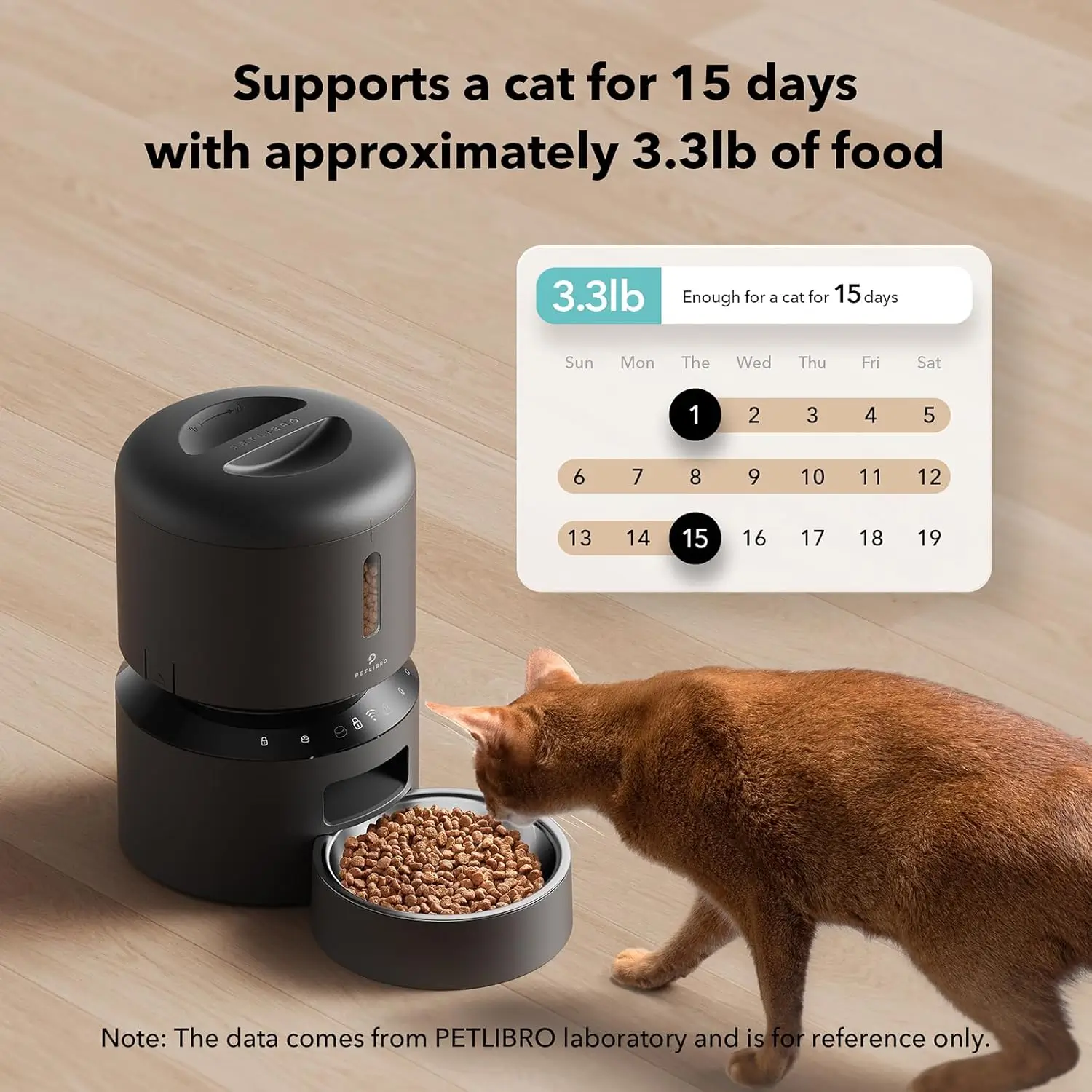 cat feeders automatic