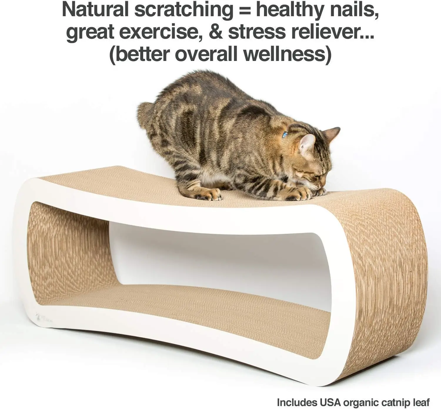 cardboard cat scratcher