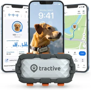 dog tracking collar