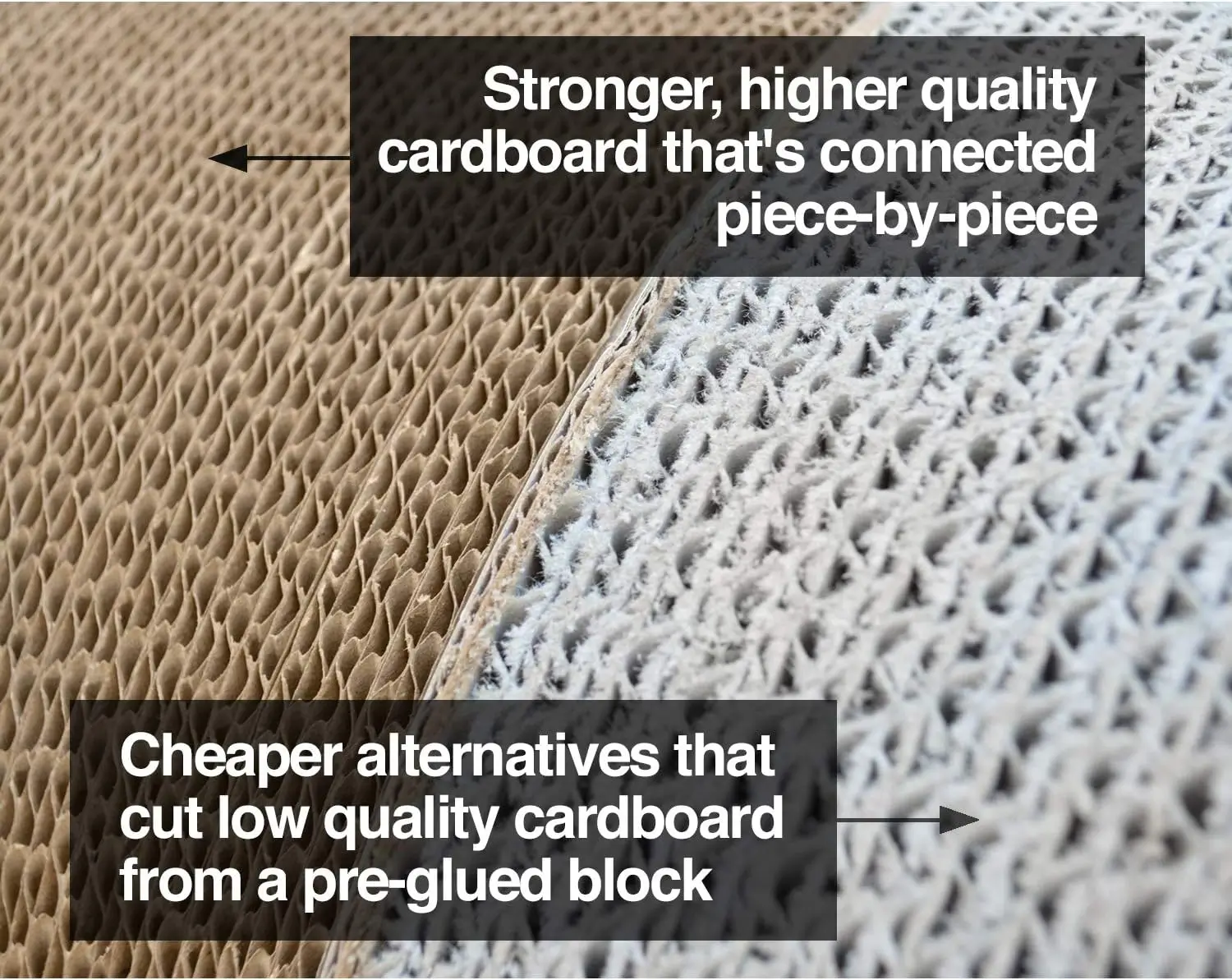 cat scratching lounge