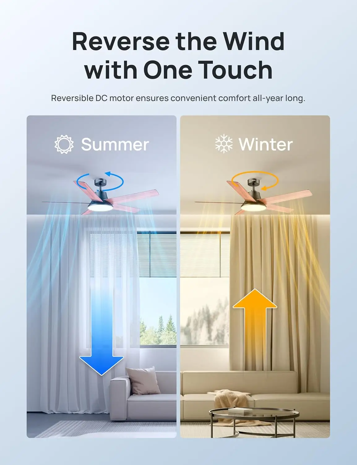 Alexa Ceiling Fan