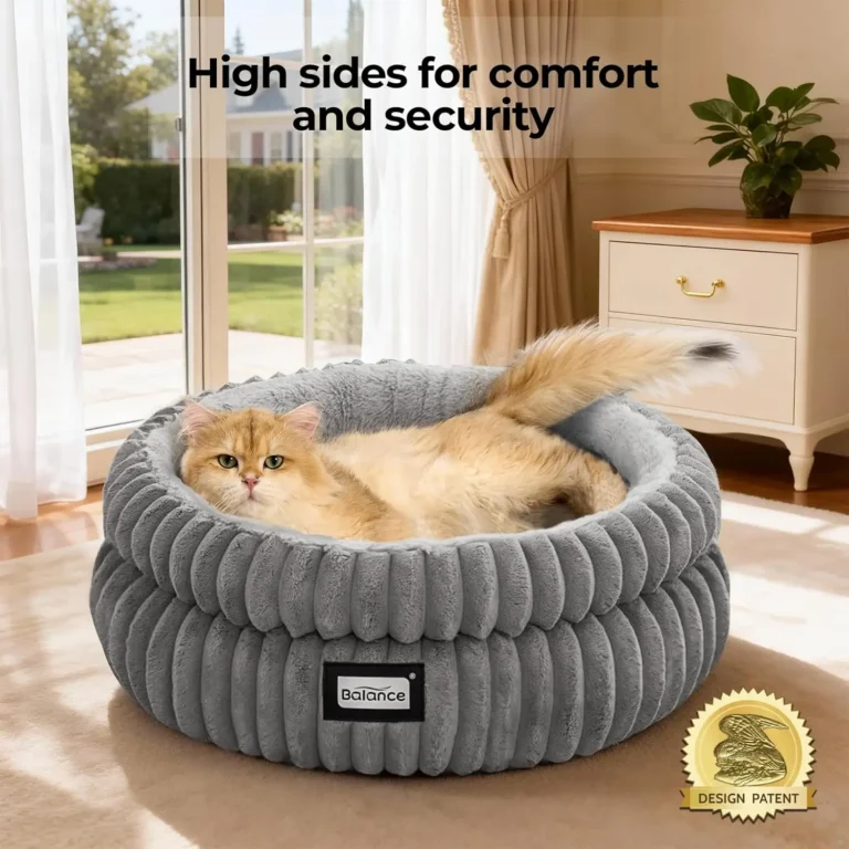 My Round Cat Bed Review to Keep My Cat Comfortable 6 Round Cat Bed
