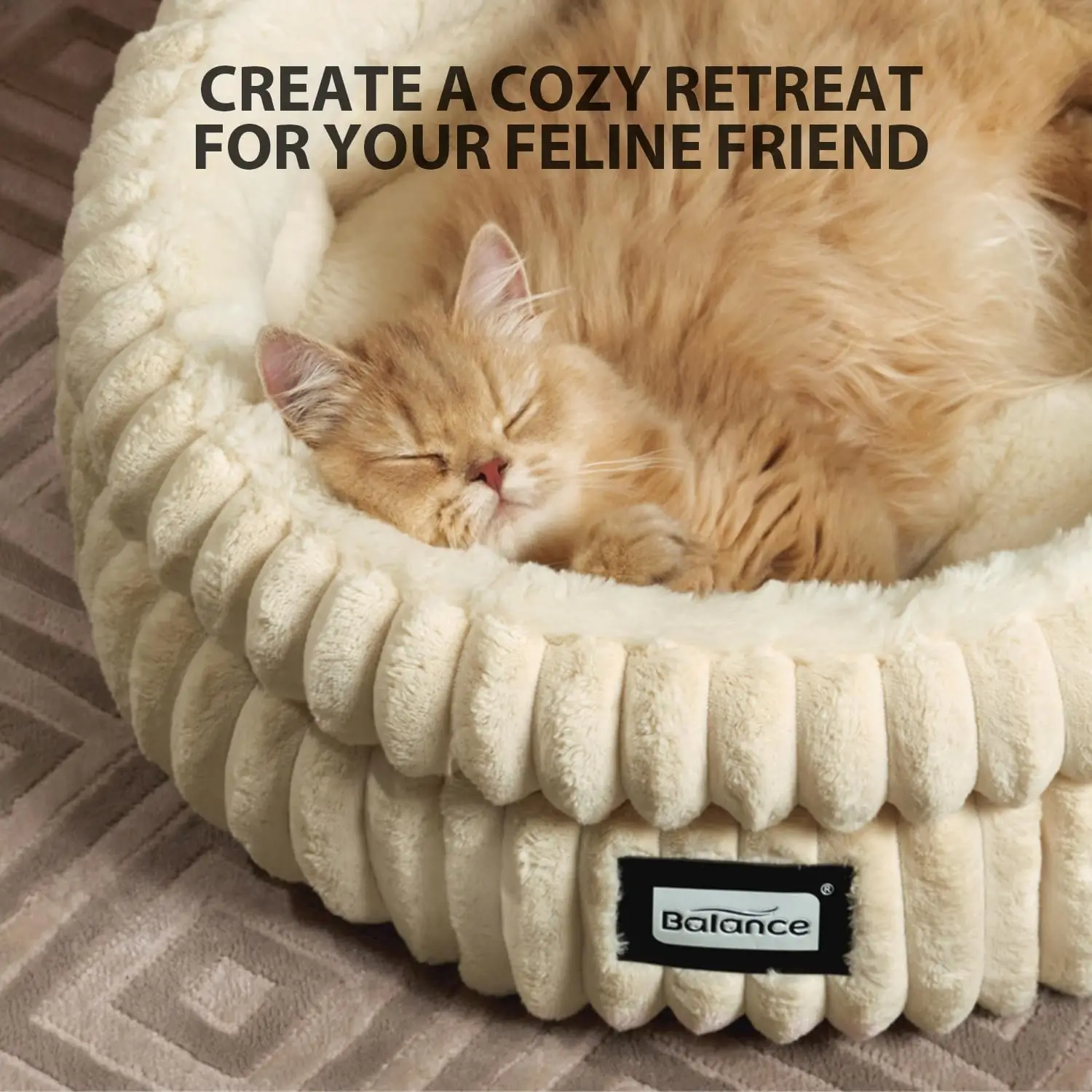 Best Cat Bed